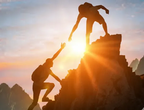 Dental Auxiliaries Products